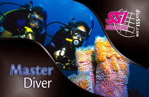MASTER DIVER MASTER DIVER
